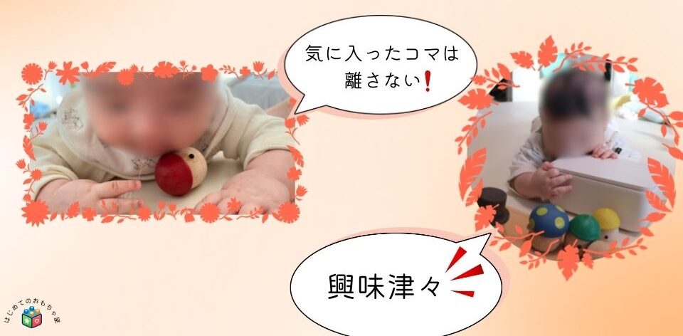 こまむぐで遊ぶ様子